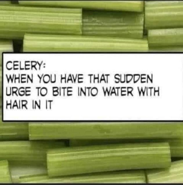 [Linked Image]