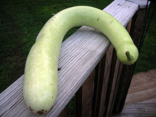 [Linked Image]