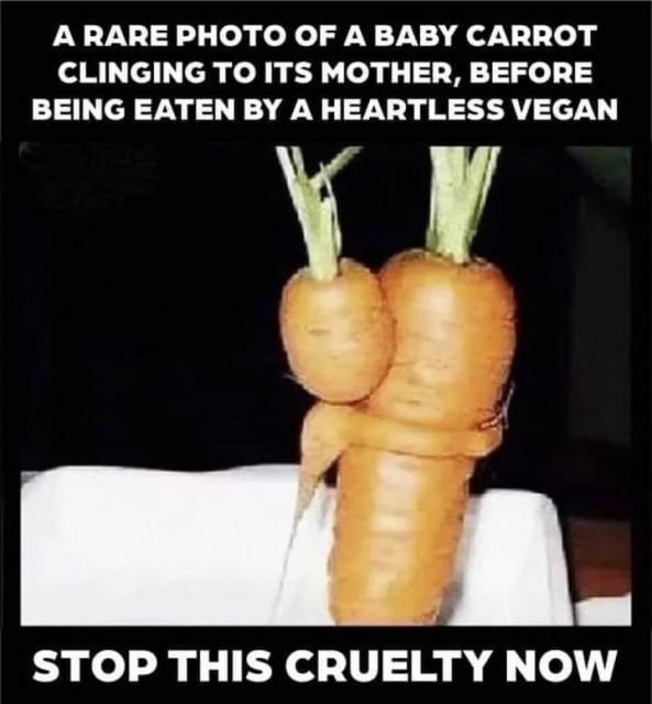[Linked Image]
