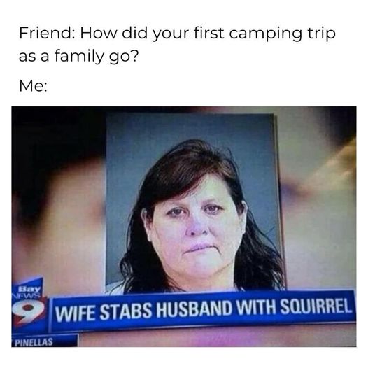 [Linked Image]