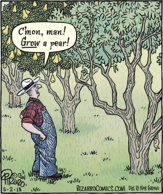 [Linked Image]