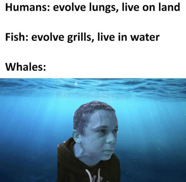 [Linked Image]