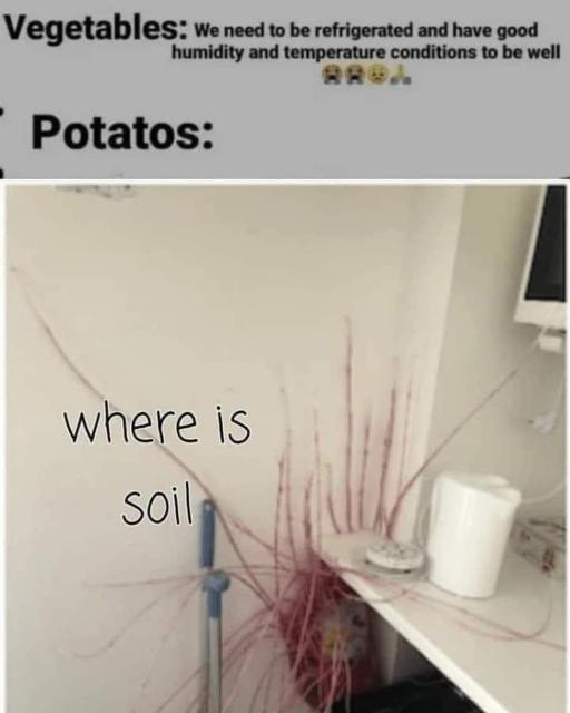[Linked Image]