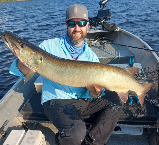A few more musky - Trapperman Forums