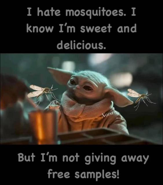 [Linked Image]
