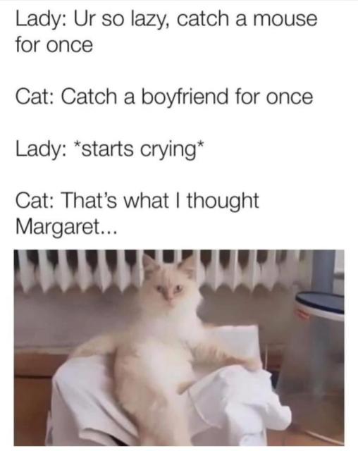 [Linked Image]