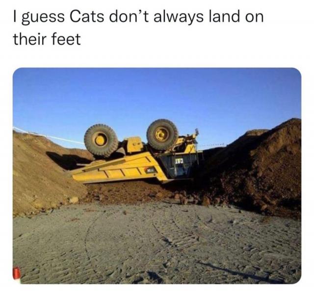 [Linked Image]