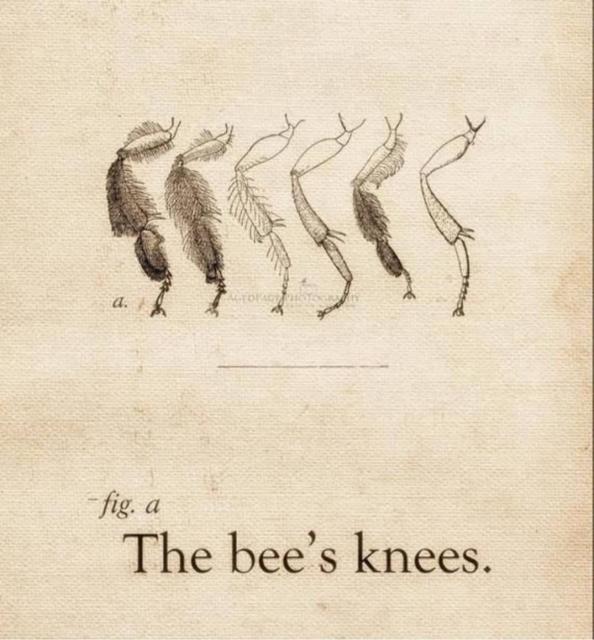 [Linked Image]