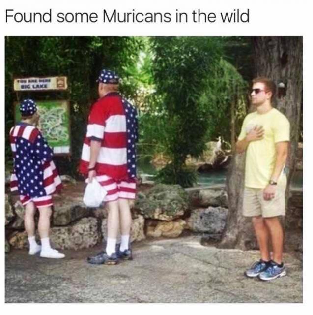 [Linked Image]