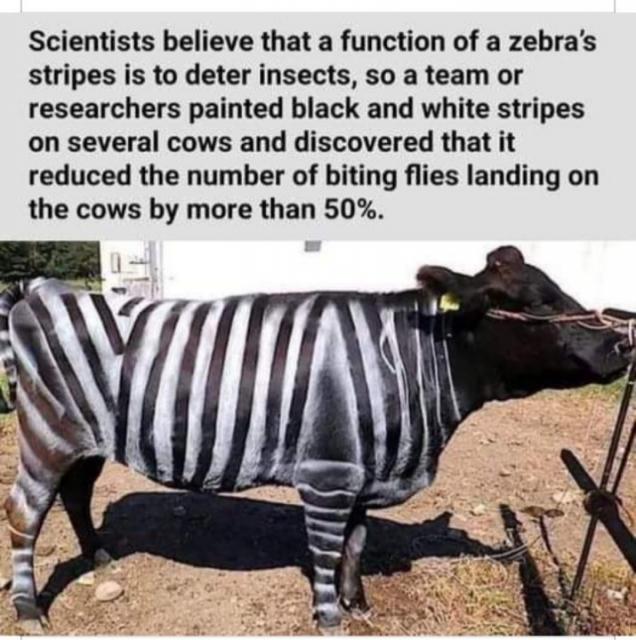 [Linked Image]