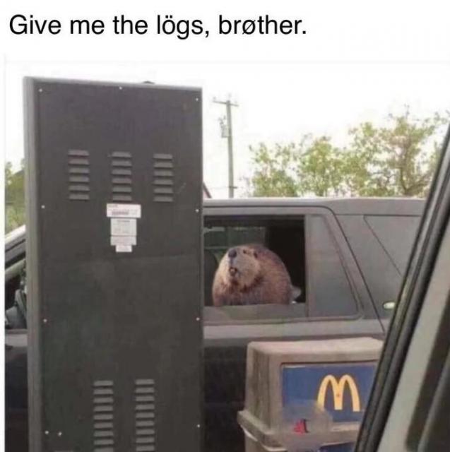 [Linked Image]