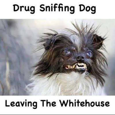 [Linked Image]