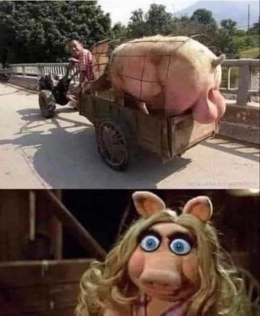 [Linked Image]