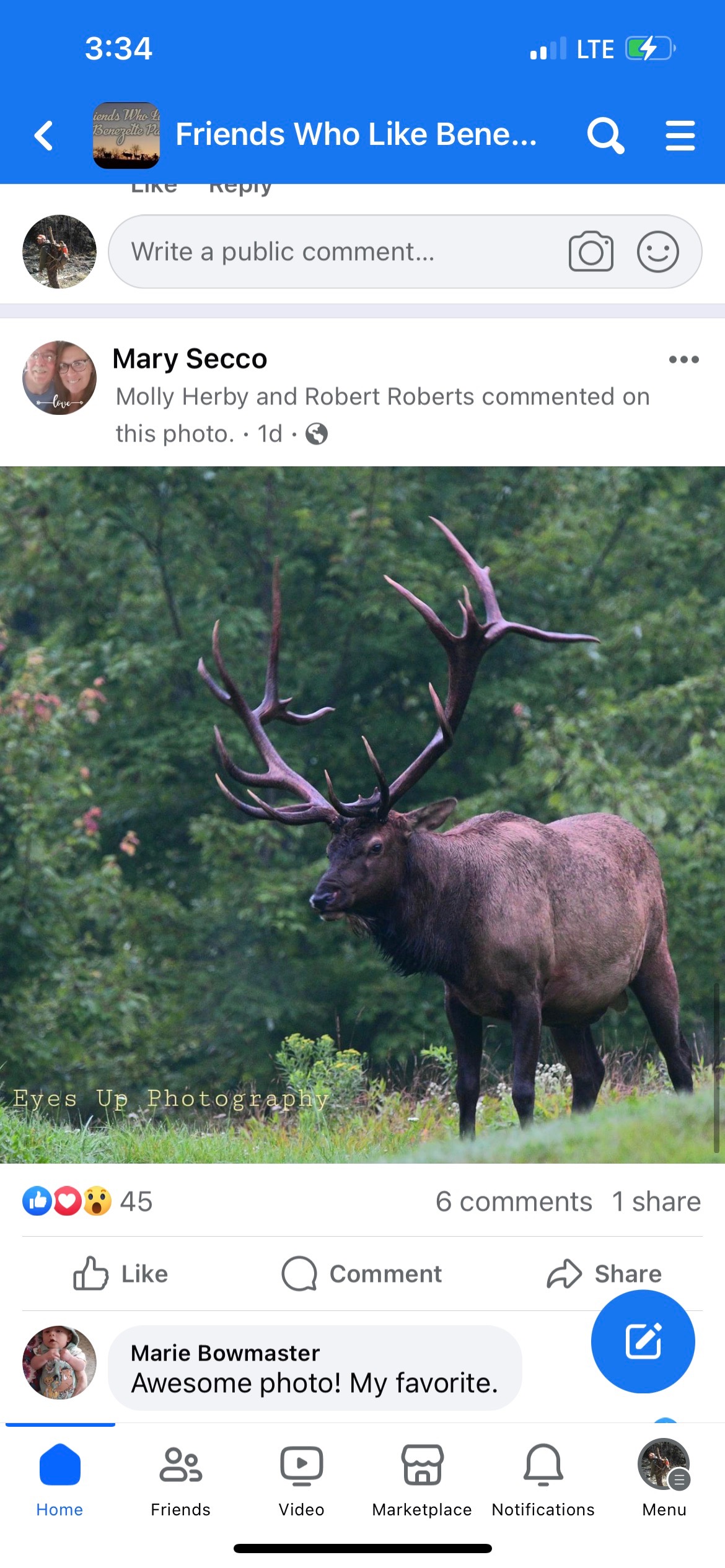 [Linked Image]