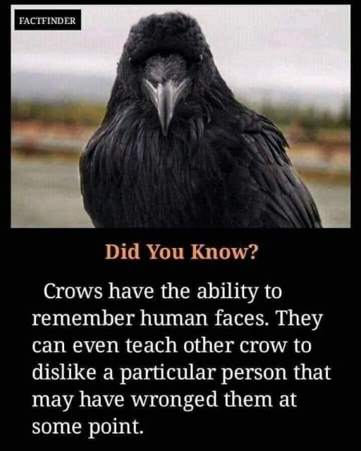 [Linked Image]
