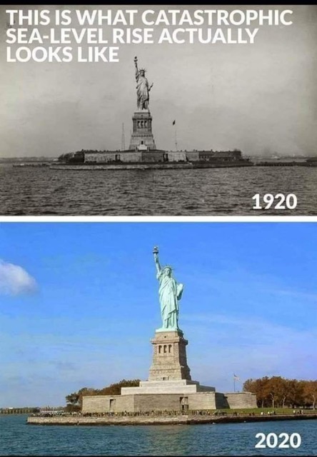 [Linked Image]