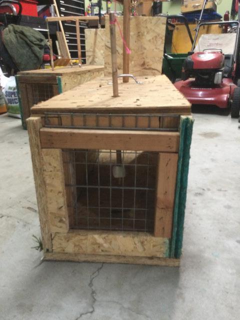 Northern Raccoon Live Trap 12x12x36