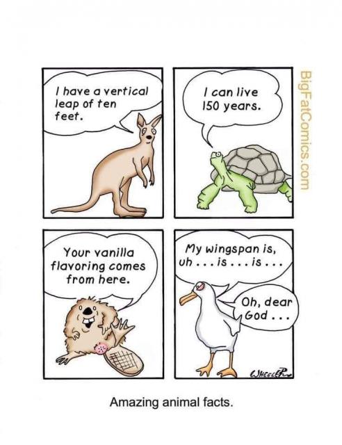 [Linked Image]