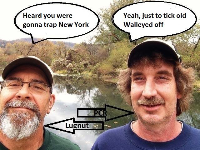 [Linked Image]
