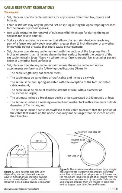 How to Use Cable Restraints for Trapping 