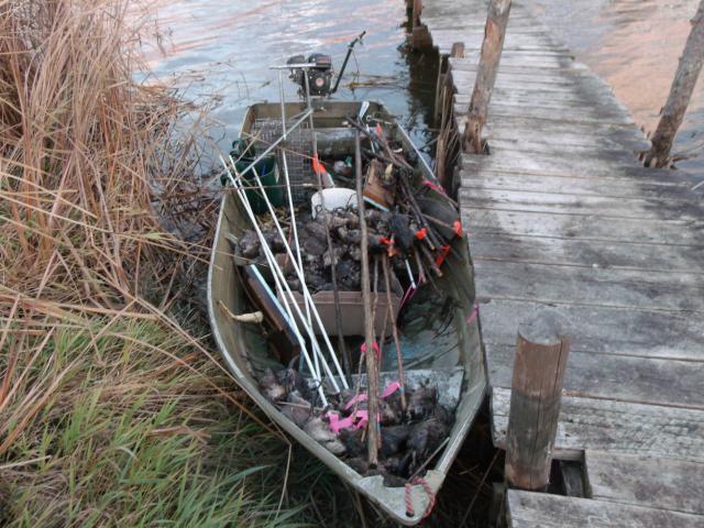 Trapping boats - Trapperman Forums