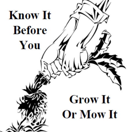 [Linked Image]