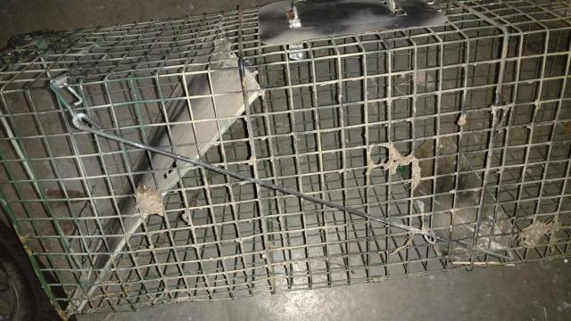 What gage wire for coon traps - Trapperman Forums