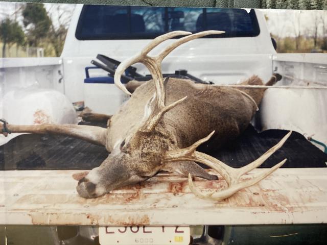 Score this deer (updated score) - Trapperman Forums