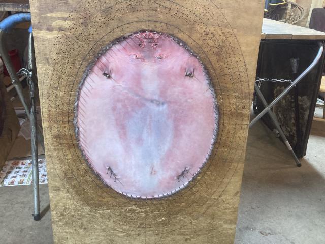 [Linked Image]
