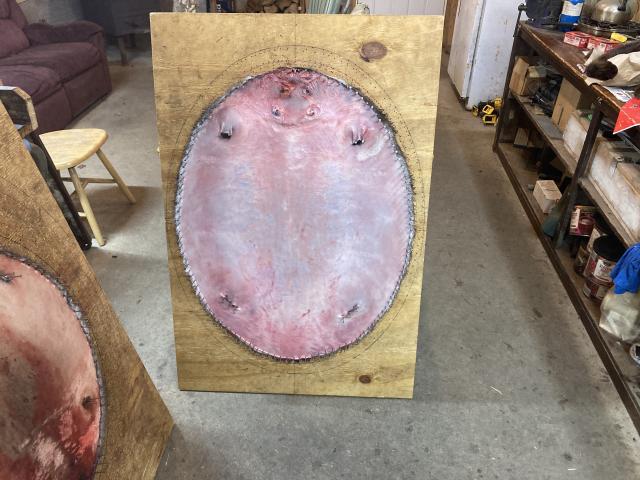 [Linked Image]