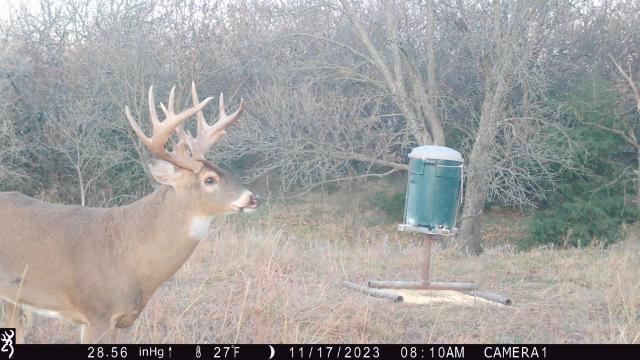 Score this deer (updated score) - Trapperman Forums