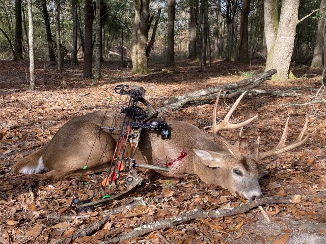 Score this deer (updated score) - Trapperman Forums