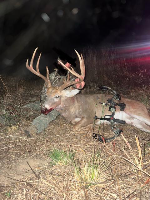 Score this deer (updated score) - Trapperman Forums