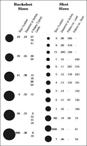 Question Regarding Buckshot