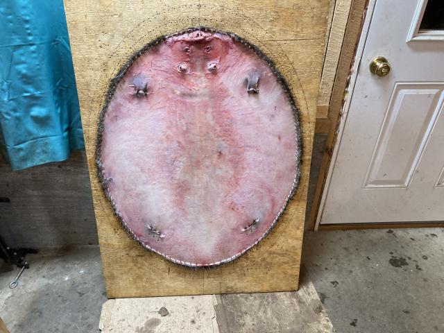 [Linked Image]