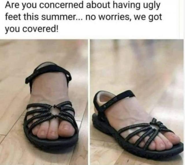 [Linked Image]