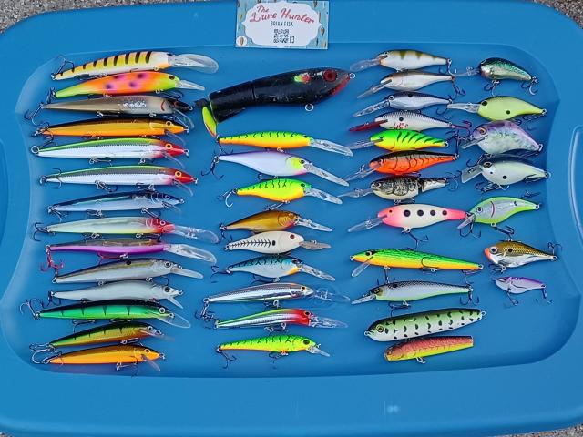 The Lure Hunter: A Guide to Finding Fishing Lures