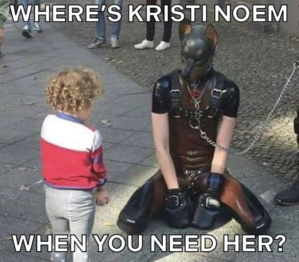 [Linked Image]