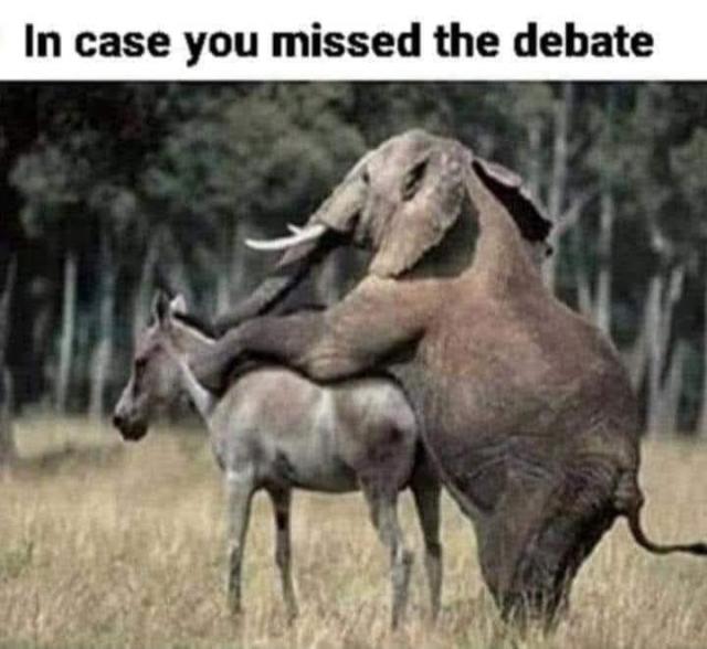 [Linked Image]