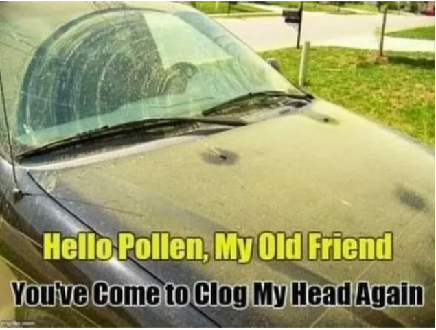 [Linked Image]