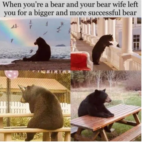 [Linked Image]