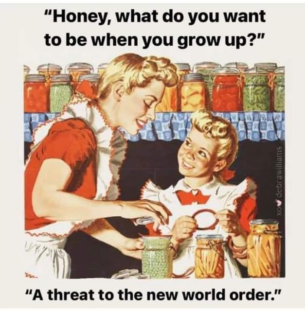 [Linked Image]