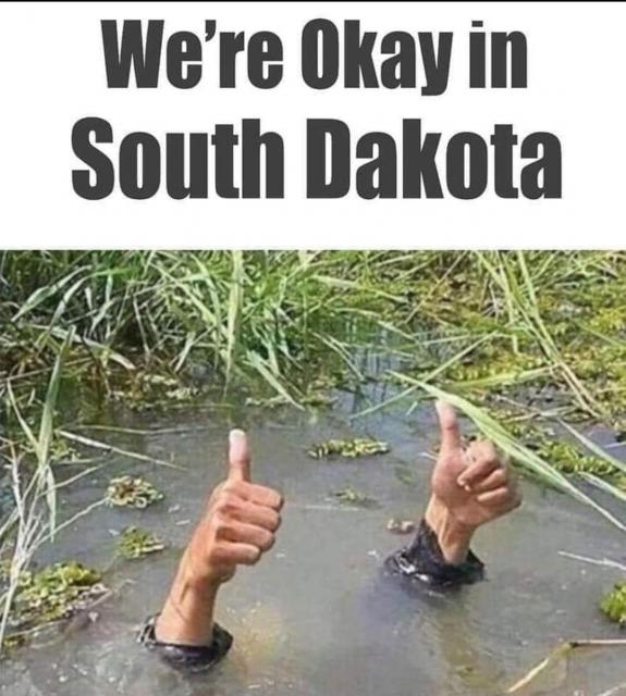[Linked Image]