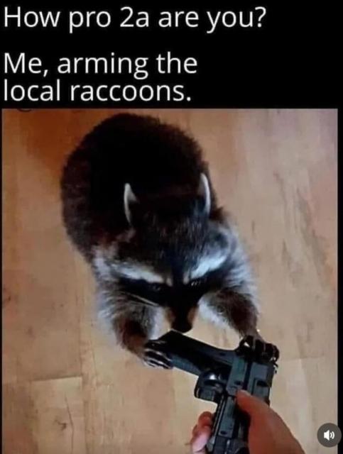 [Linked Image]