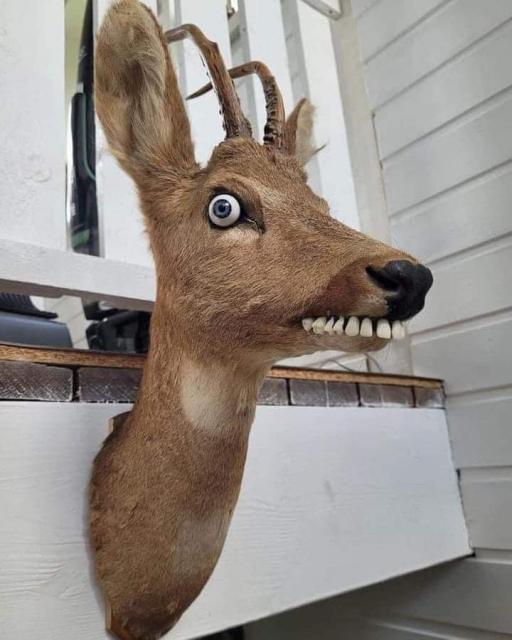 [Linked Image]