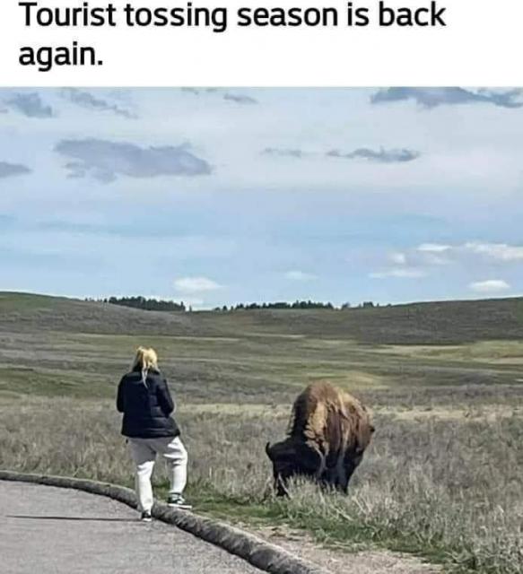 [Linked Image]