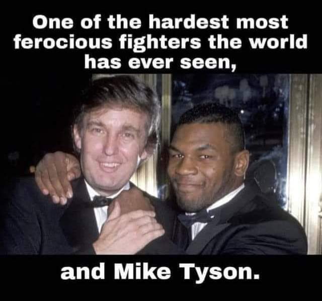 [Linked Image]
