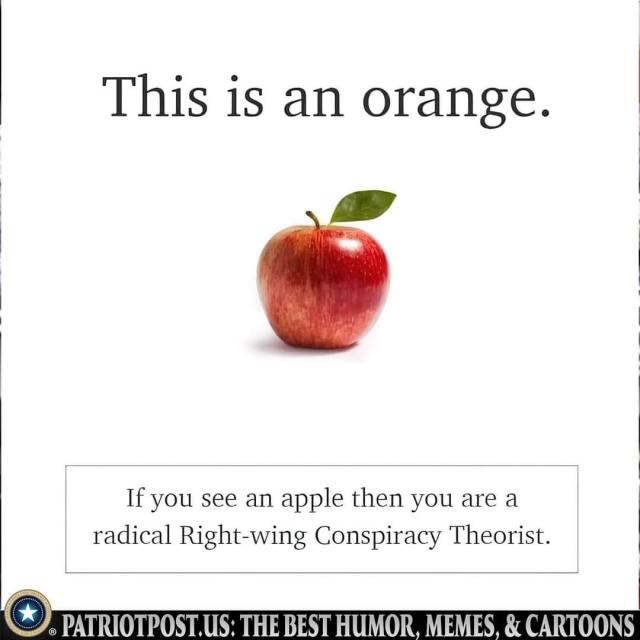 [Linked Image]