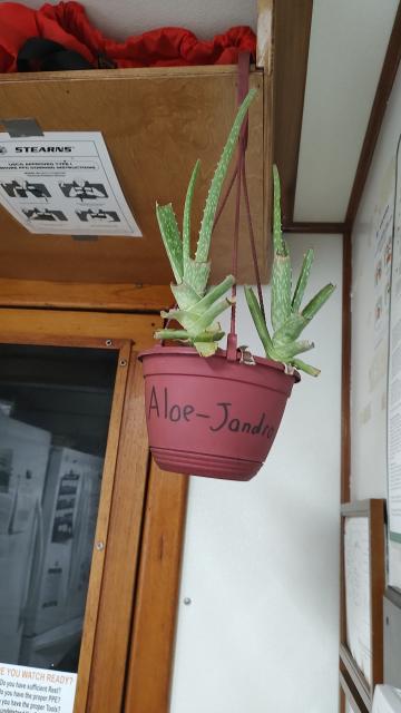 [Linked Image]