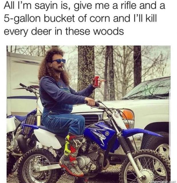 [Linked Image]